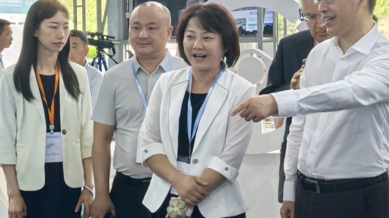 途虎養車保養項目揭秘：全麵了解您的愛車維護之道